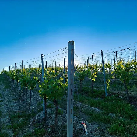 Hébergement de vacances Casa Profumi Di Barbera - Infinity Pool, Luxurious Bedrooms And Historic Charm *