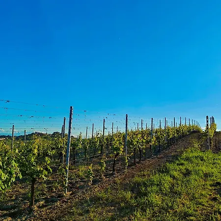 Casa Profumi Di Barbera - Infinity Pool, Luxurious Bedrooms And Historic Charm * San Martino Alfieri