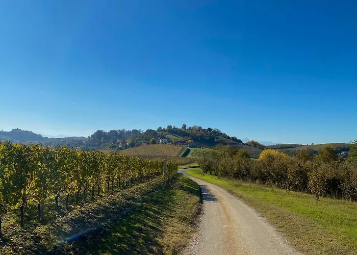 Casa Profumi Di Barbera - Infinity Pool, Luxurious Bedrooms And Historic Charm San Martino Alfieri